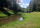 photo thumbnail #6