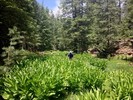 photo thumbnail #7