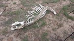 photo thumbnail #9