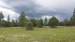 photo thumbnail #12