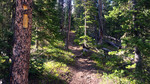 photo thumbnail #3