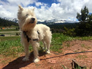 photo thumbnail #5