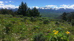 photo thumbnail #6