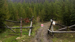 photo thumbnail #12