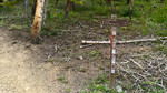 photo thumbnail #13