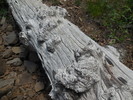 photo thumbnail #7