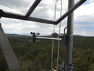photo thumbnail #11