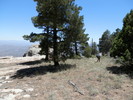 photo thumbnail #1