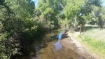photo thumbnail #12