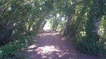 photo thumbnail #13