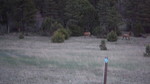 photo thumbnail #15
