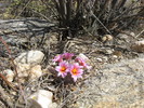 photo thumbnail #3
