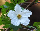 photo thumbnail #5