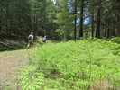 photo thumbnail #9