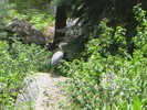 photo thumbnail #11
