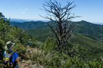 photo thumbnail #4