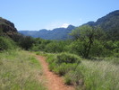 photo thumbnail #3