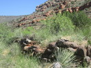 photo thumbnail #5