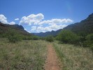 photo thumbnail #7