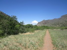 photo thumbnail #8