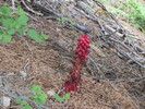 photo thumbnail #7