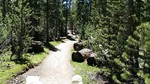 photo thumbnail #2