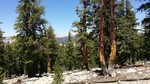 photo thumbnail #7