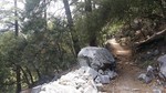 photo thumbnail #3