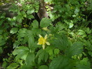 photo thumbnail #10