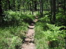 photo thumbnail #1