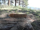 photo thumbnail #7