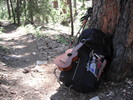 photo thumbnail #14