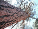 photo thumbnail #15