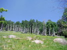 photo thumbnail #1