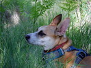 photo thumbnail #6