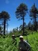 photo thumbnail #6