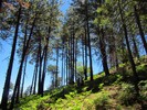 photo thumbnail #7