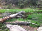 photo thumbnail #7
