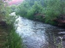 photo thumbnail #8