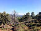 photo thumbnail #3