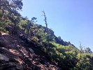 photo thumbnail #13
