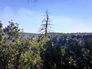 photo thumbnail #15