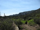 photo thumbnail #1