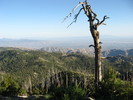 photo thumbnail #8