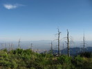 photo thumbnail #11