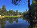 photo thumbnail #1