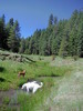 photo thumbnail #2