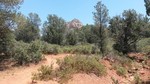 photo thumbnail #1