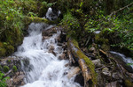photo thumbnail #14