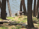 photo thumbnail #6